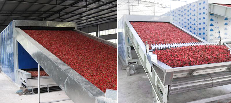 industrial pepper drying machine